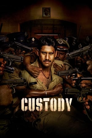 Custody watch Custody