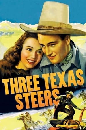 Three Texas Steers watch Three Texas Steers